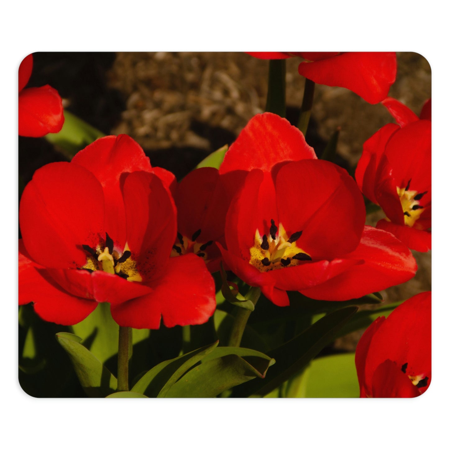 Flowers 05 Rectangle Mouse Pad