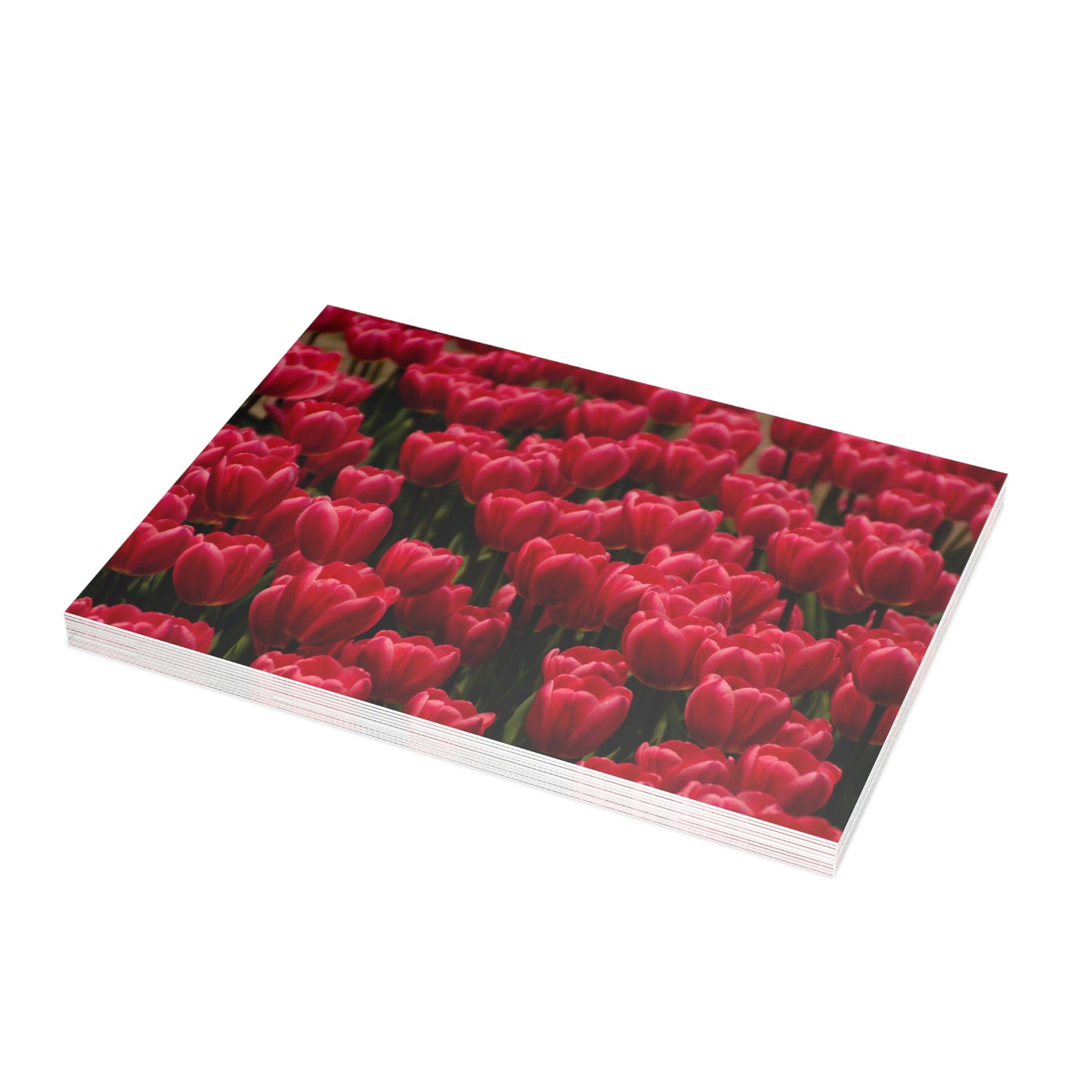 Flowers 15 Greeting Card Bundles (envelopes not included)