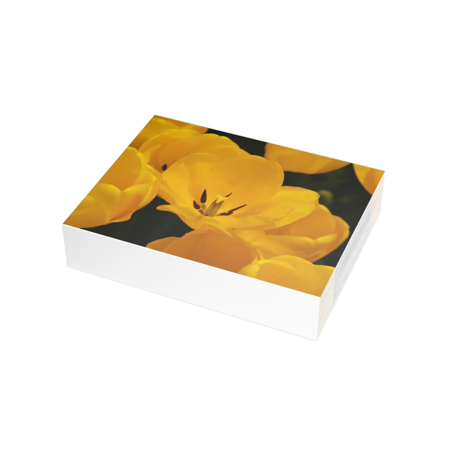 Flowers 16 Greeting Card Bundles (envelopes not included)