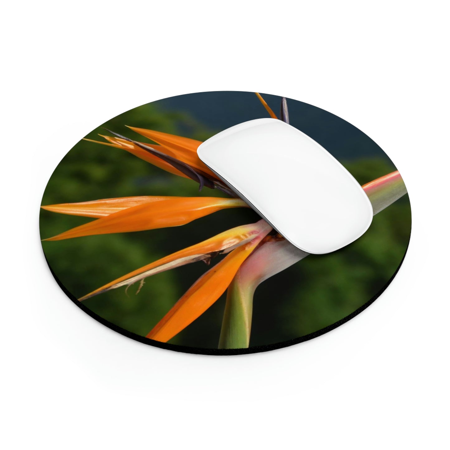 Flowers 26 Mouse Pad