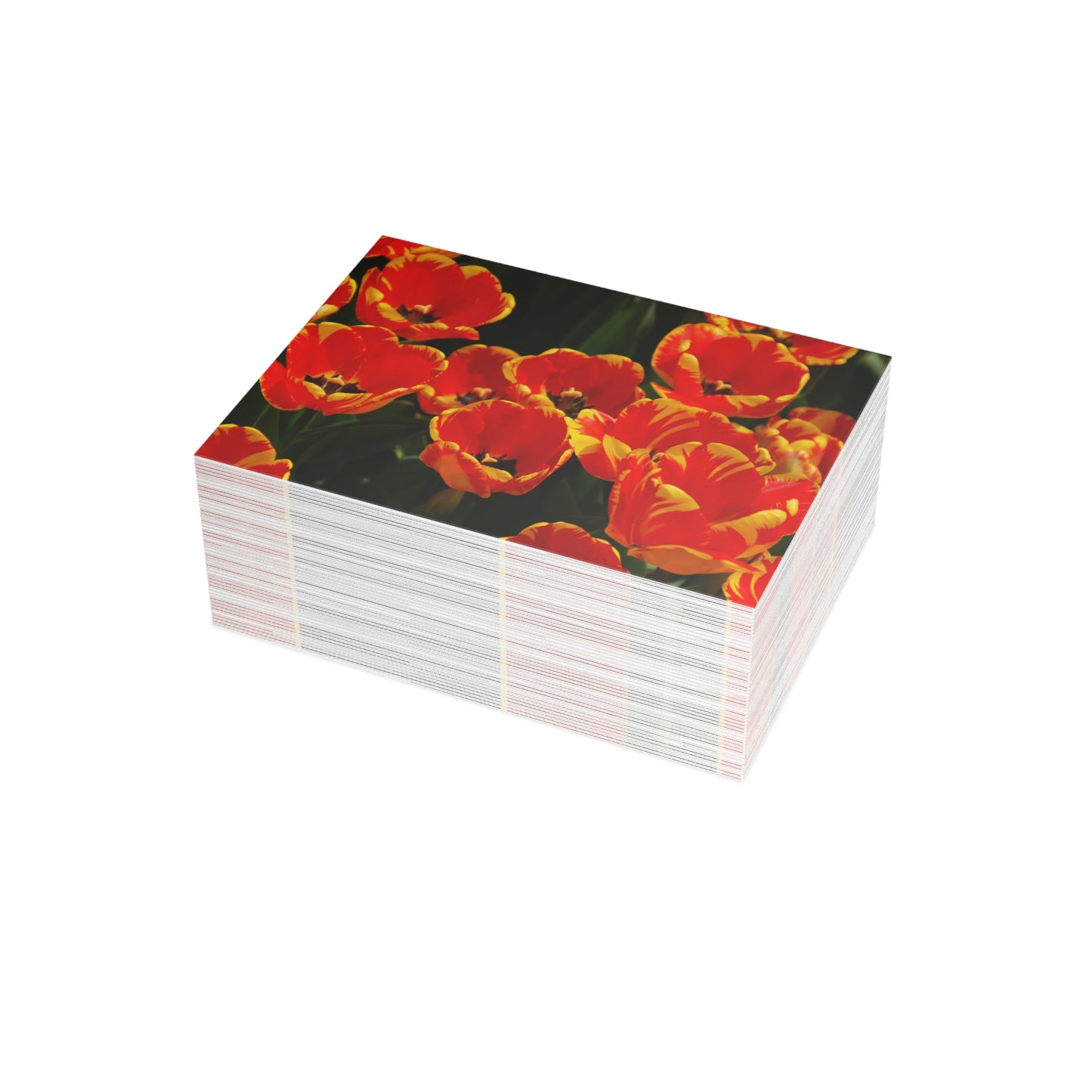 Flowers 20 Greeting Card Bundles (envelopes not included)