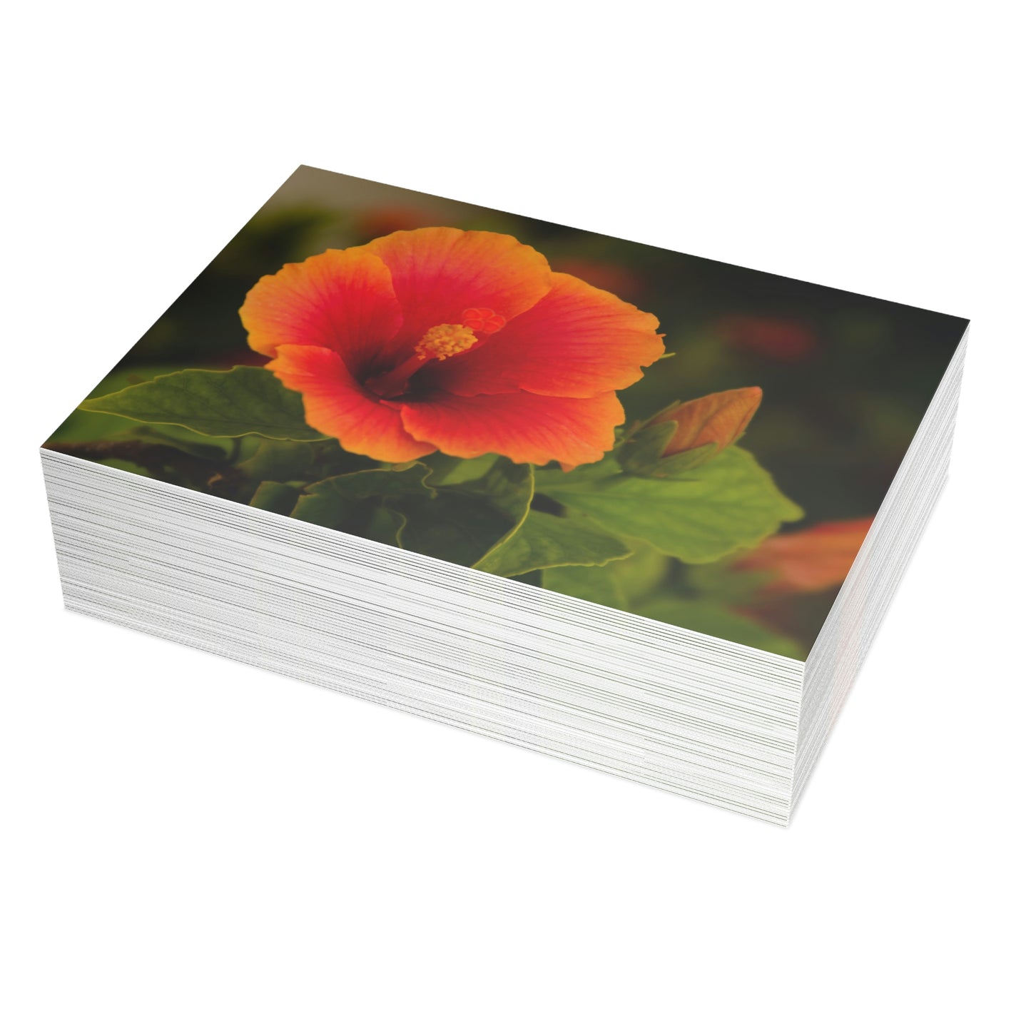 Flowers 31 Greeting Card Bundles (envelopes not included)