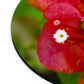 Flowers 28 Mouse Pad