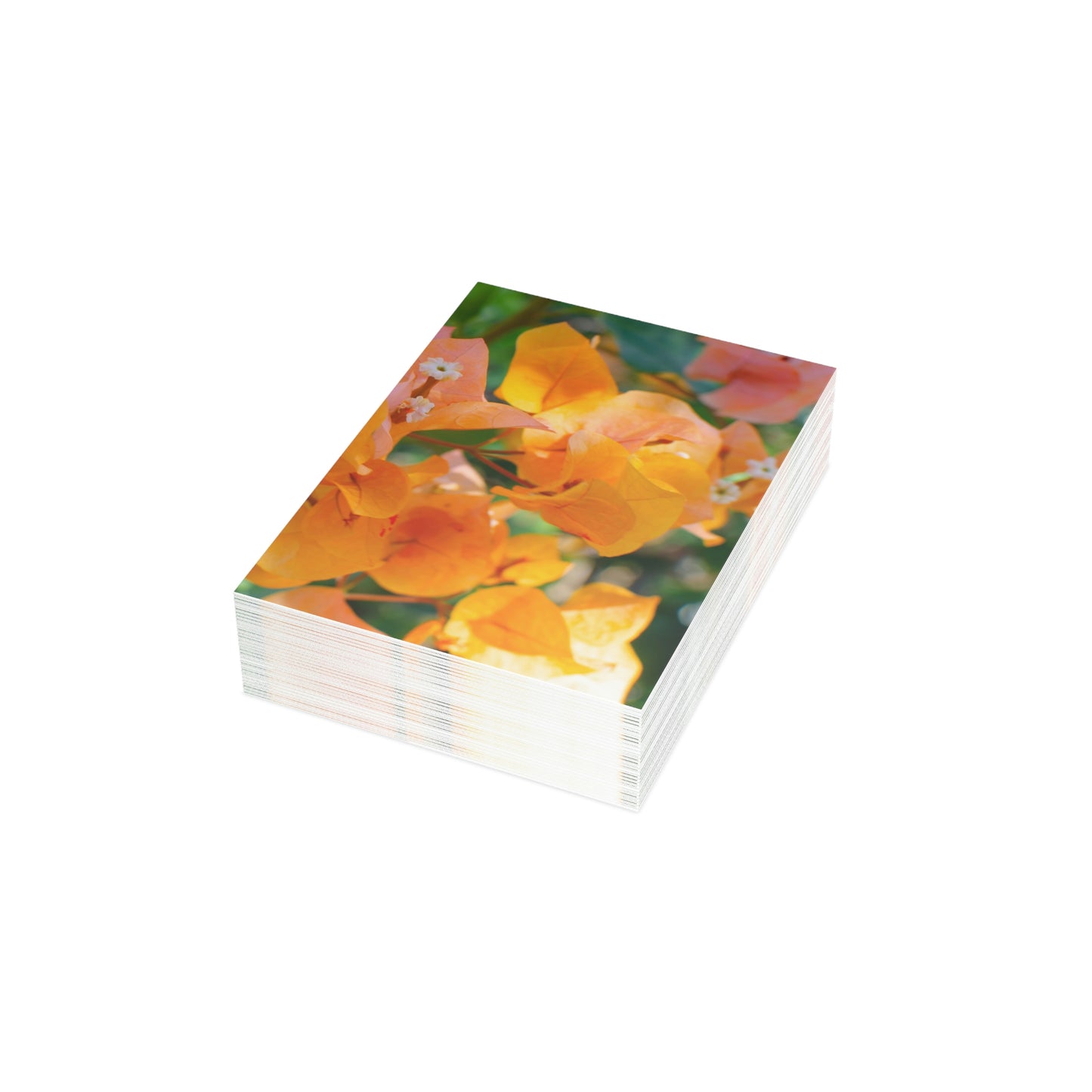 Flowers 29 Greeting Cards (1, 10, 30, and 50pcs)