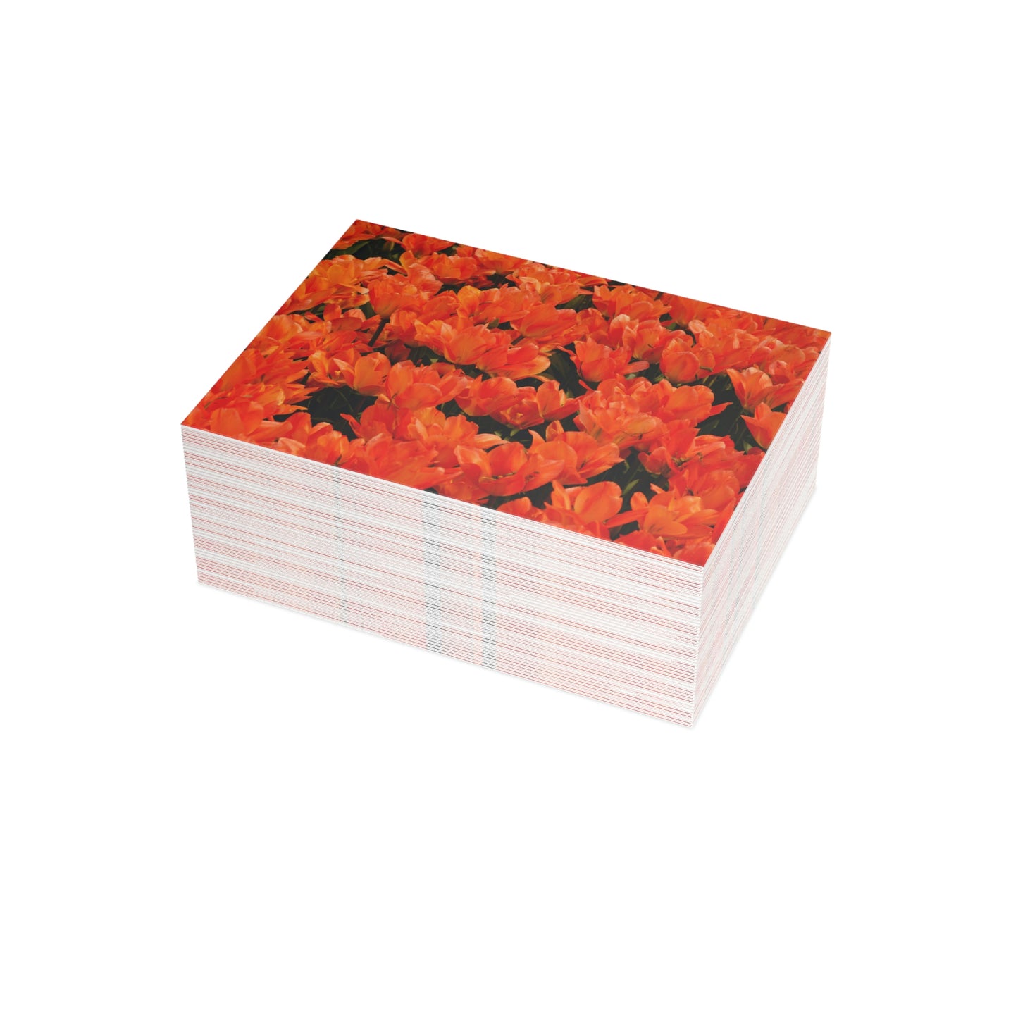 Flowers 02 Greeting Card Bundles (envelopes not included)