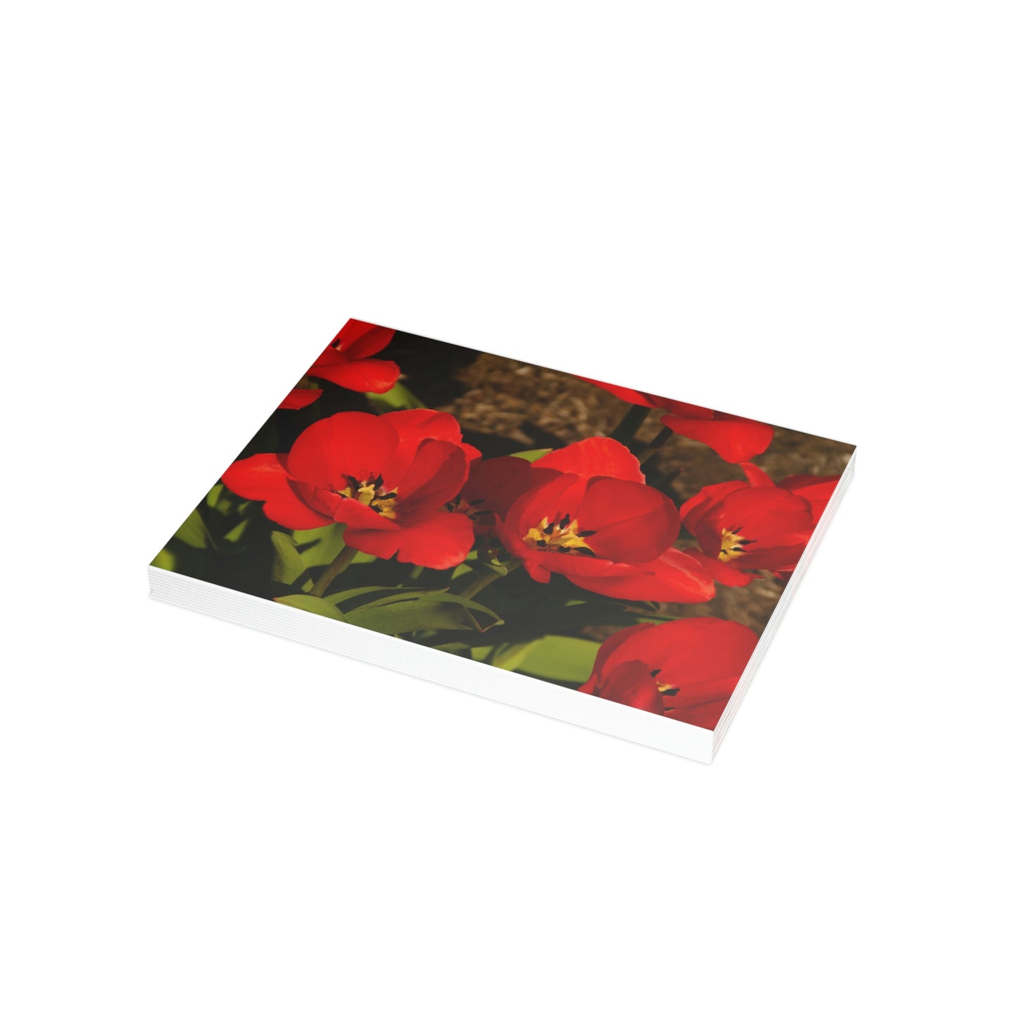 Flowers 05 Greeting Card Bundles (envelopes not included)