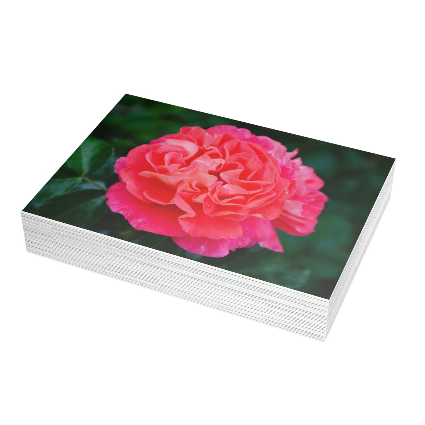 Flowers 08 Greeting Card Bundles (envelopes not included)