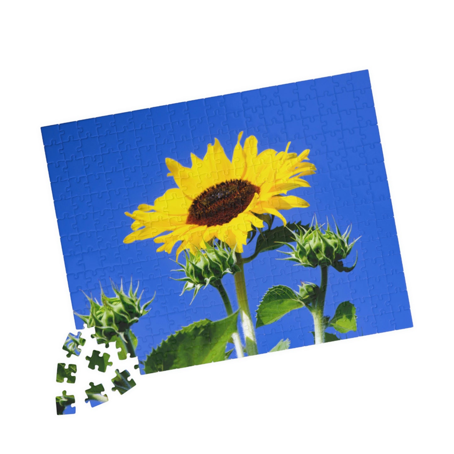 Flowers 02 Puzzle (110, 252, 500, 1014-piece)