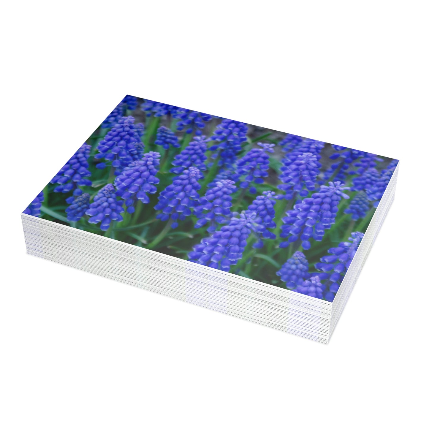 Flowers 11 Greeting Card Bundles (envelopes not included)