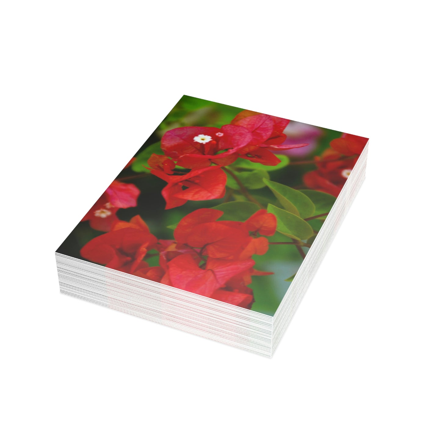 Flowers 27 Greeting Card Bundles (envelopes not included)