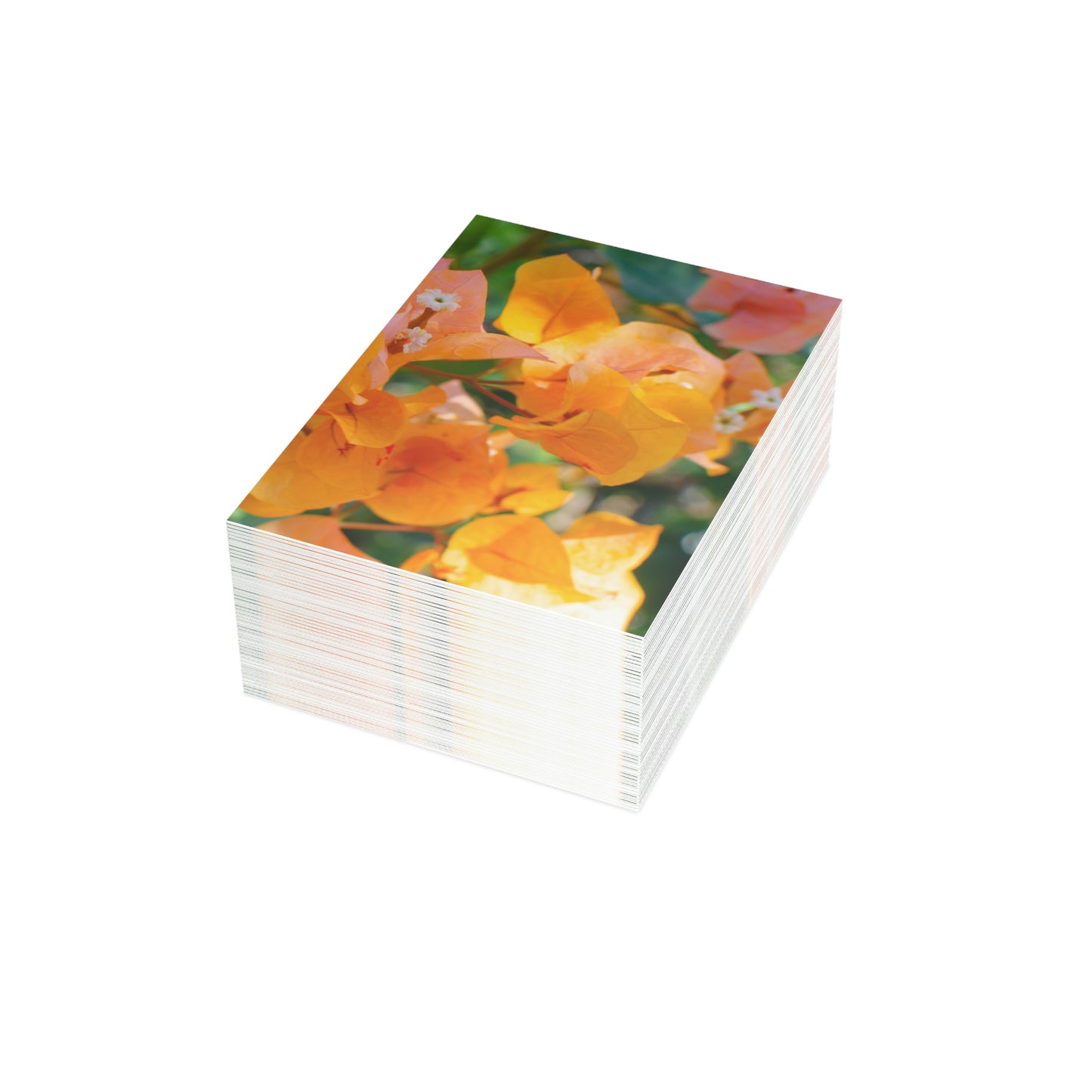 Flowers 29 Greeting Cards (1, 10, 30, and 50pcs)