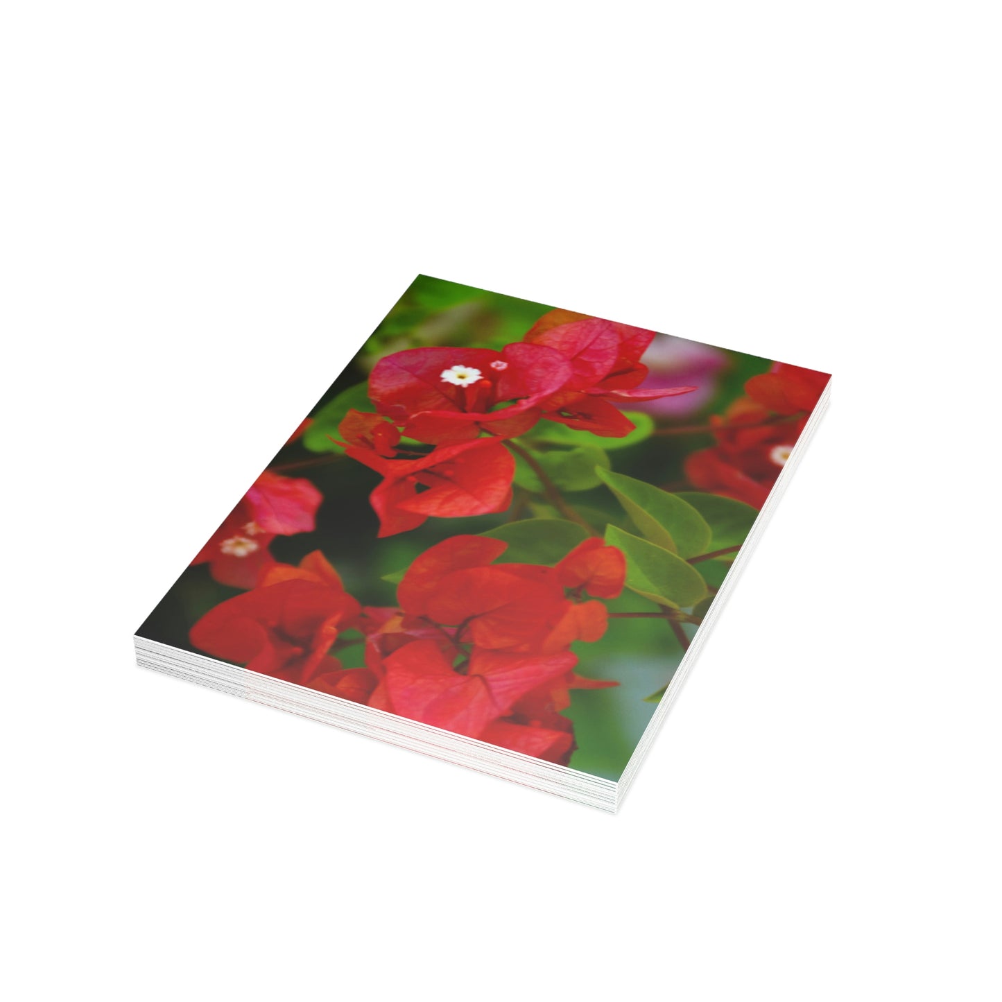 Flowers 27 Greeting Card Bundles (envelopes not included)