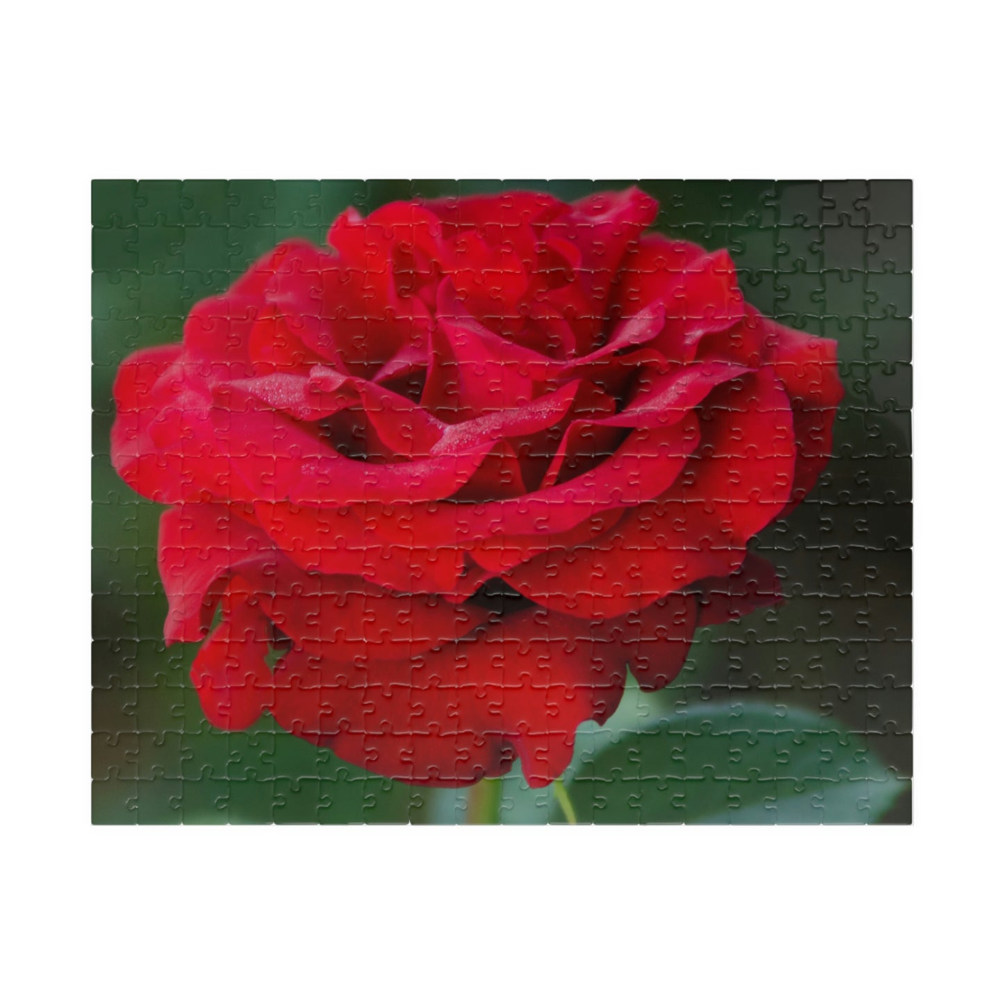 Flowers 14 Puzzle (110, 252, 500, 1014-piece)