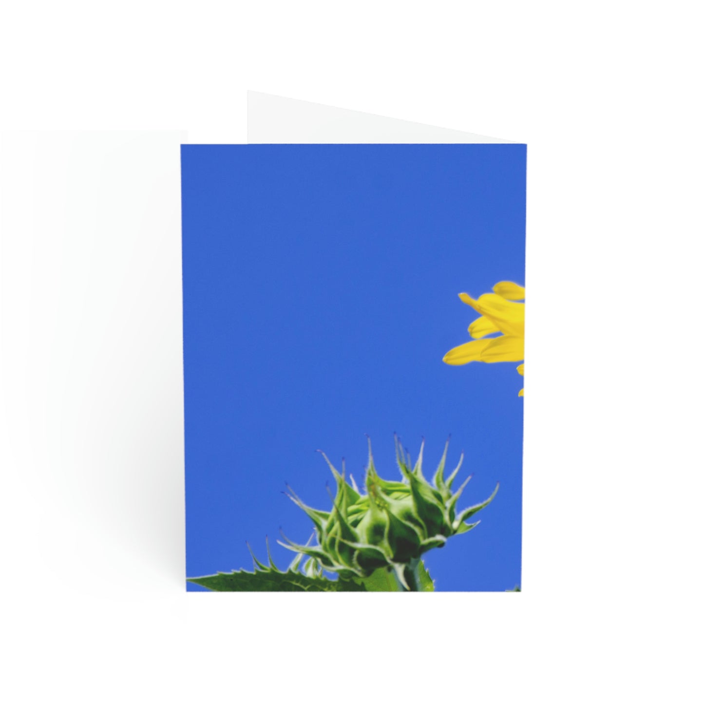 Flowers 02 Greeting Cards (1, 10, 30, and 50pcs)