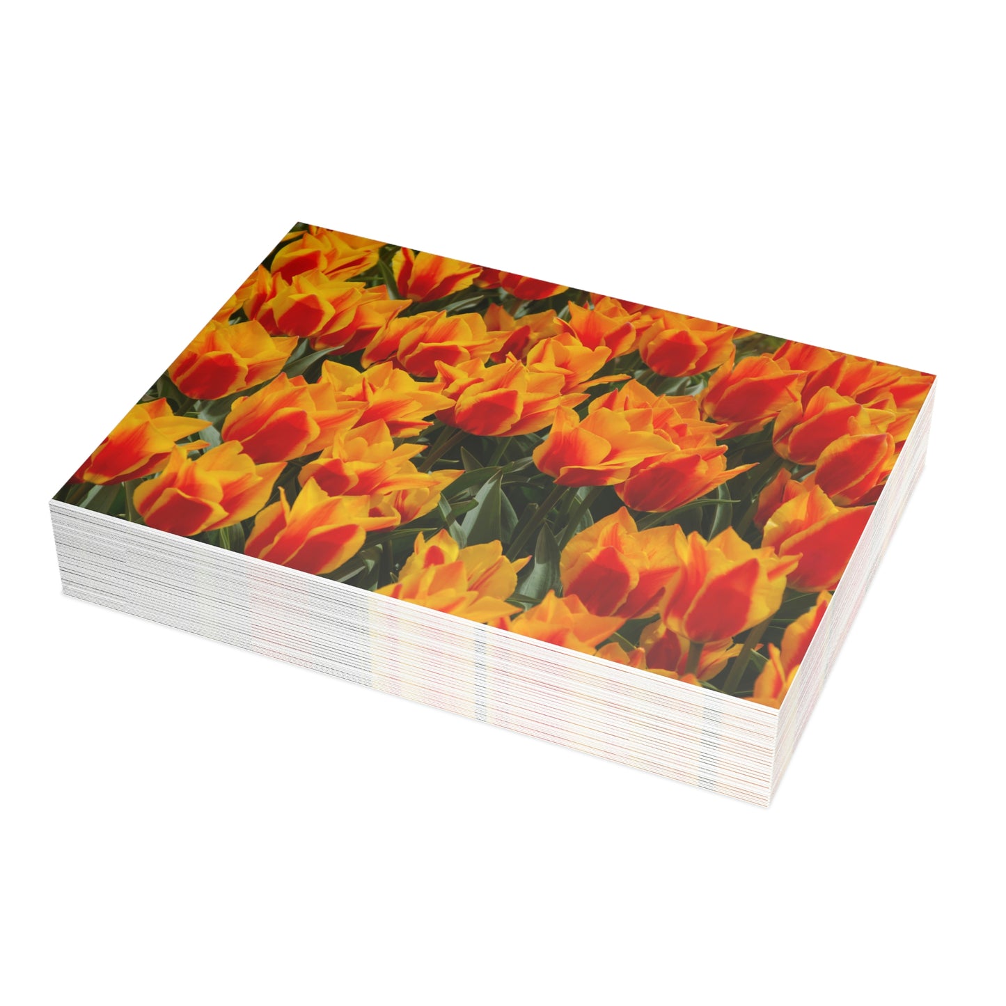 Flowers 19 Greeting Card Bundles (envelopes not included)