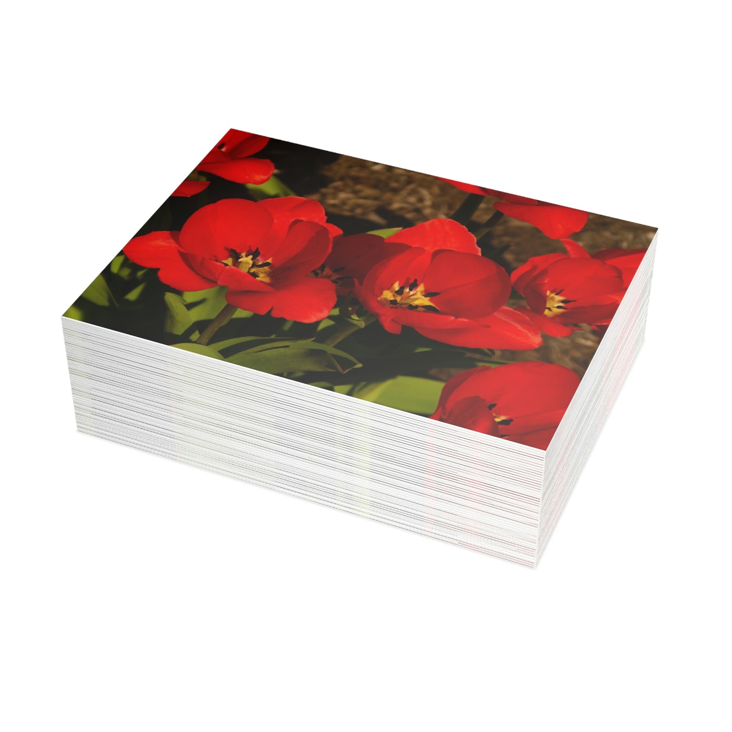 Flowers 05 Greeting Card Bundles (envelopes not included)