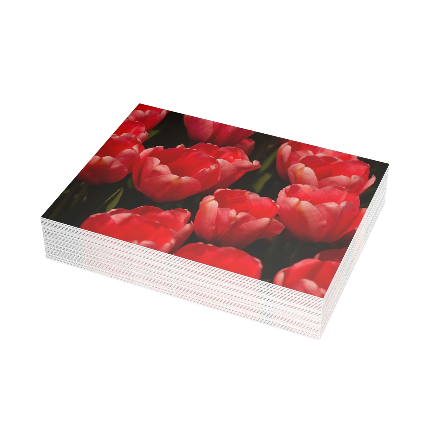 Flowers 09 Greeting Card Bundles (envelopes not included)