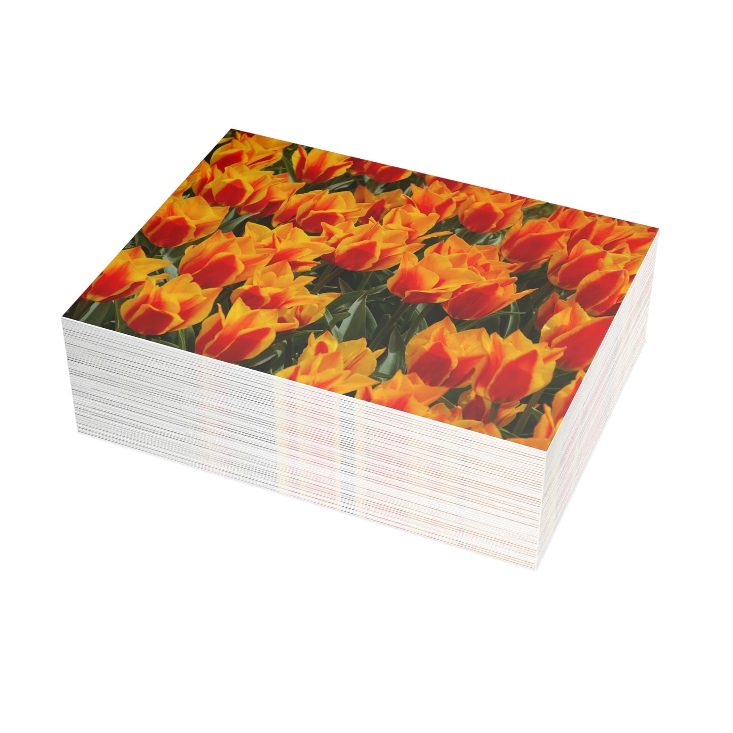 Flowers 19 Greeting Card Bundles (envelopes not included)