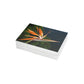 Flowers 26 Greeting Card Bundles (envelopes not included)