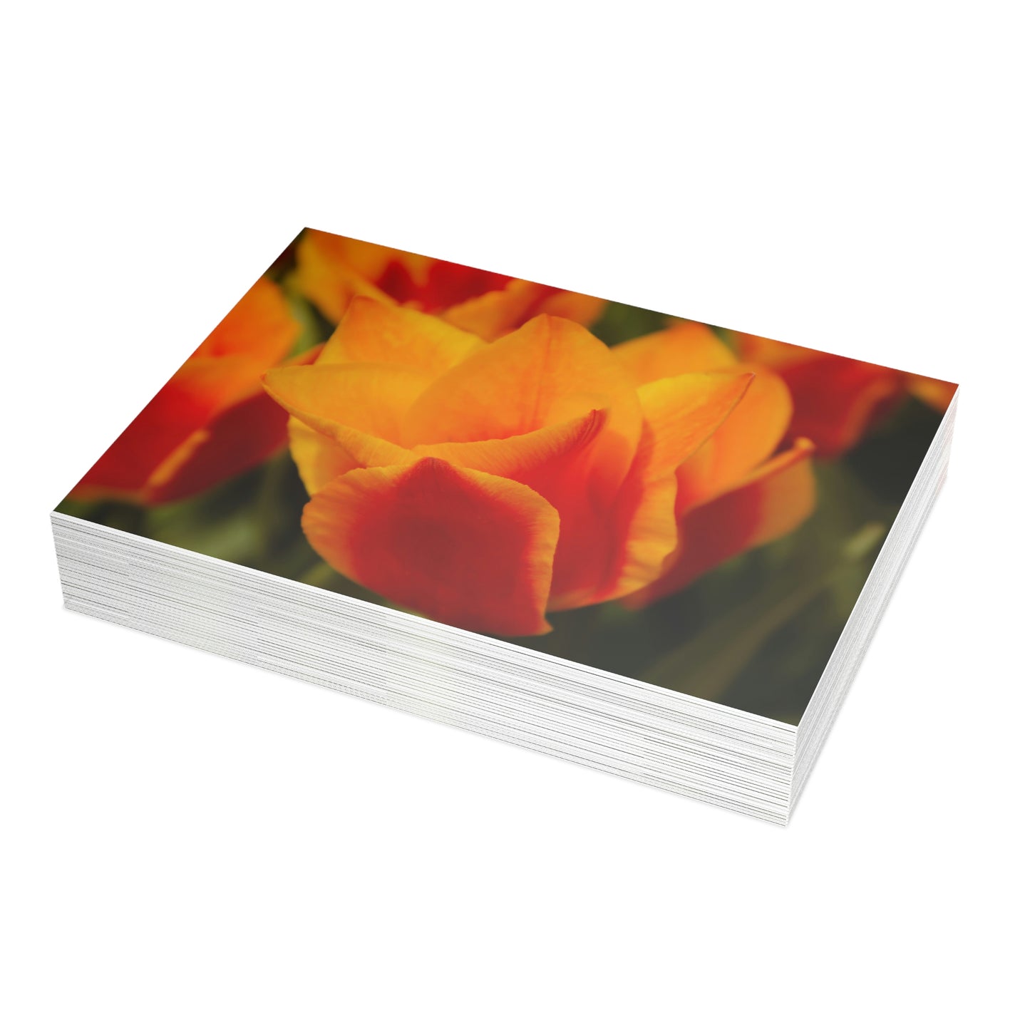 Flowers 13 Greeting Card Bundles (envelopes not included)