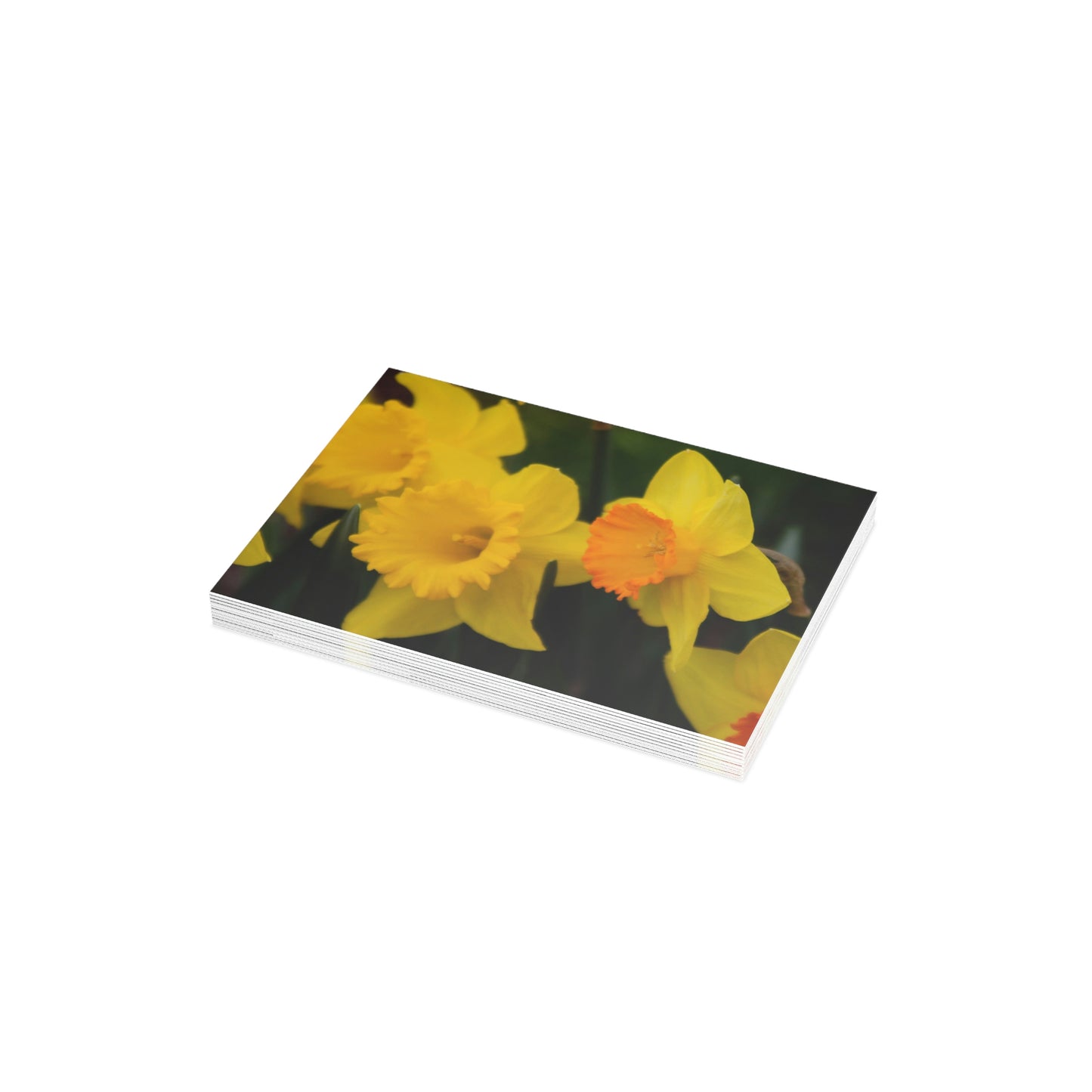 Flowers 10 Greeting Card Bundles (envelopes not included)