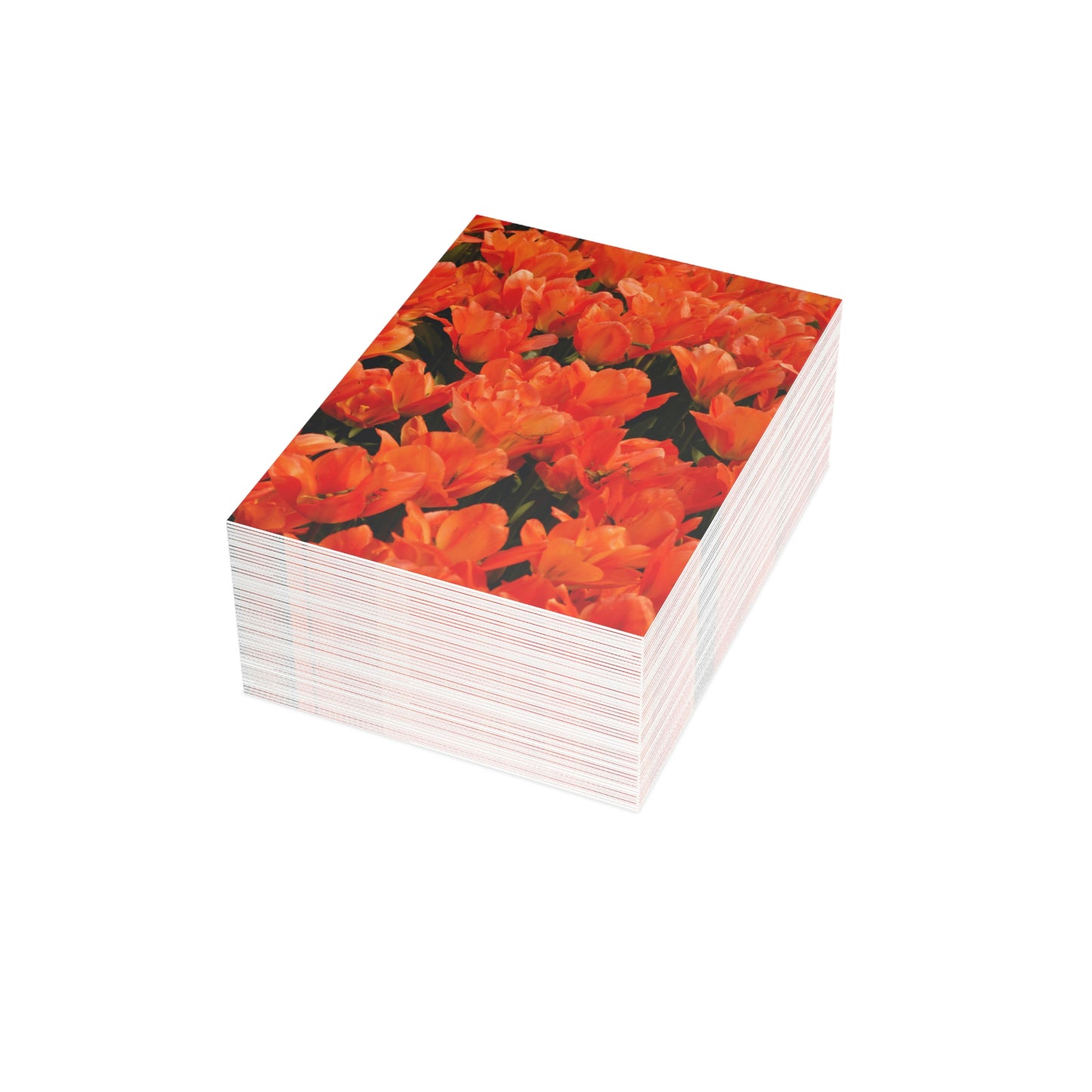 Flowers 03 Greeting Cards (1, 10, 30, and 50pcs)