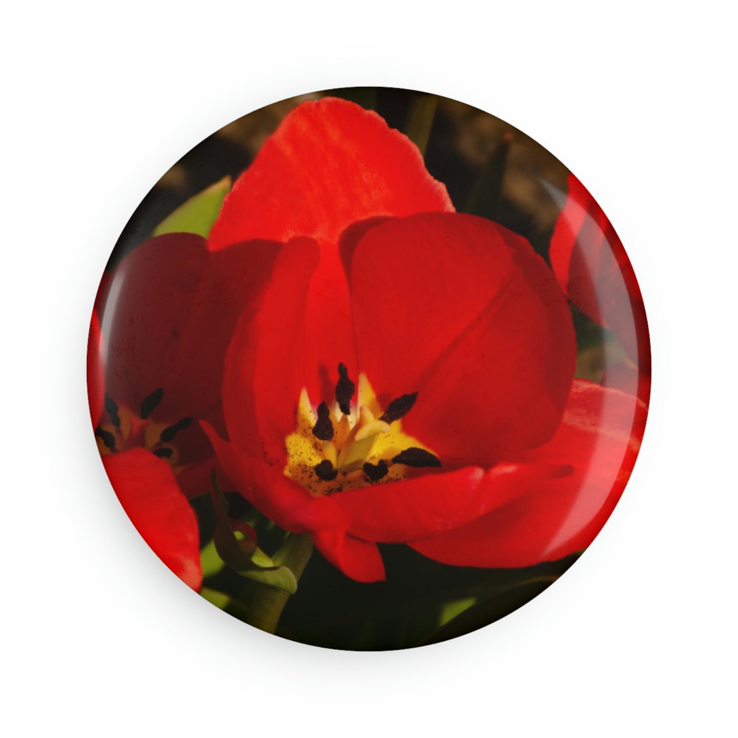 Flowers 05 Button Magnet, Round (1 & 10 pcs)