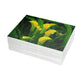 Flowers 33 Greeting Card Bundles (envelopes not included)