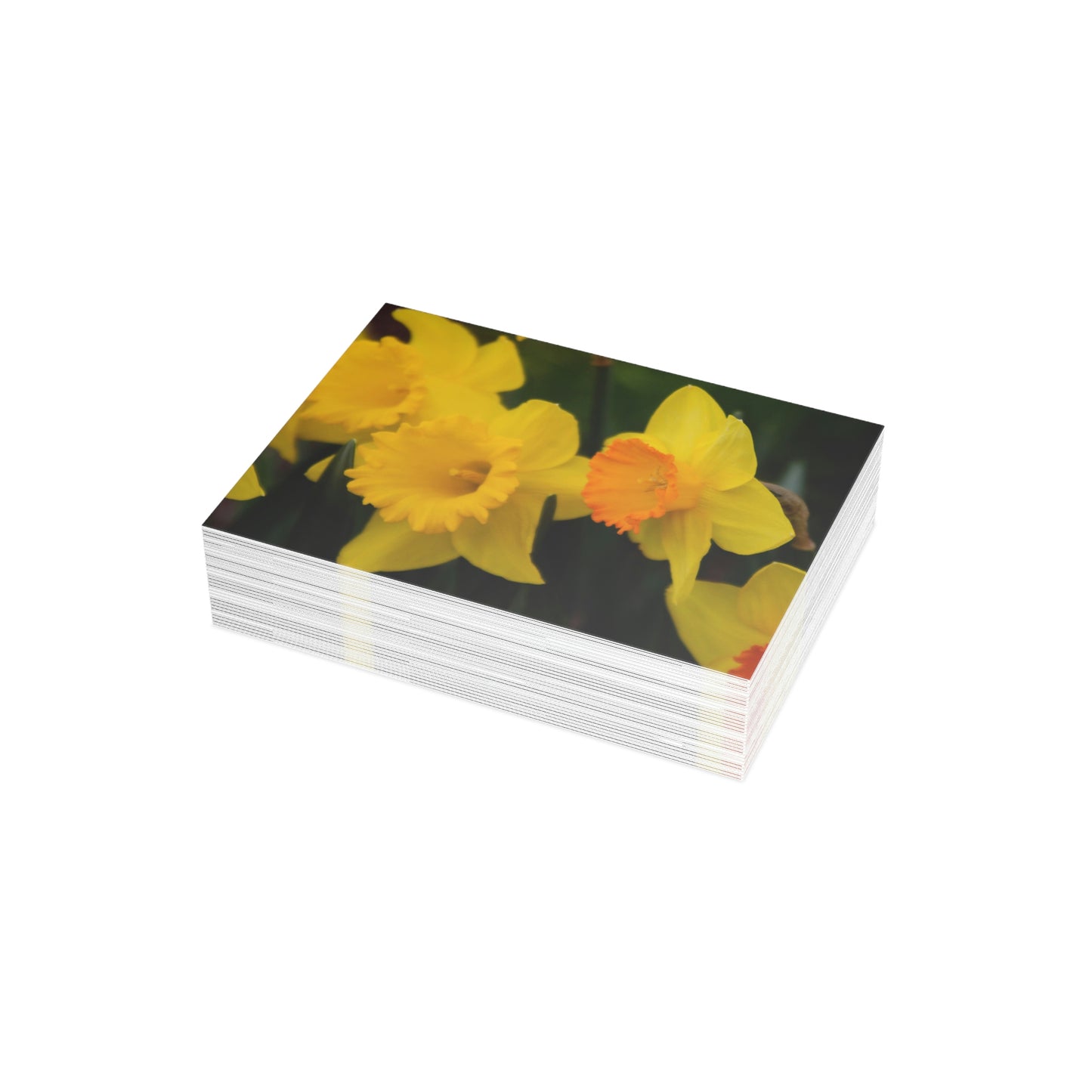 Flowers 10 Greeting Card Bundles (envelopes not included)