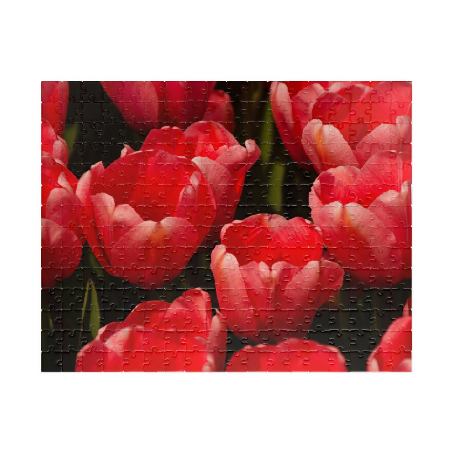 Flowers 09 Puzzle (110, 252, 500, 1014-piece)