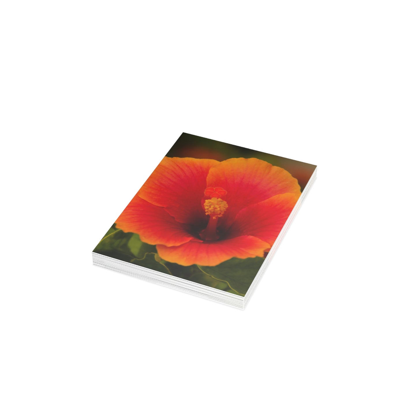Flowers 31 Greeting Cards (1, 10, 30, and 50pcs)