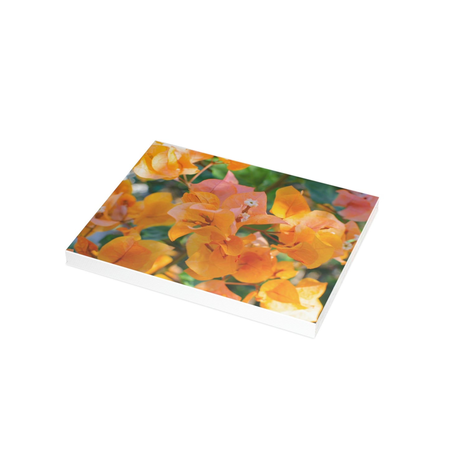 Flowers 29 Greeting Card Bundles (envelopes not included)