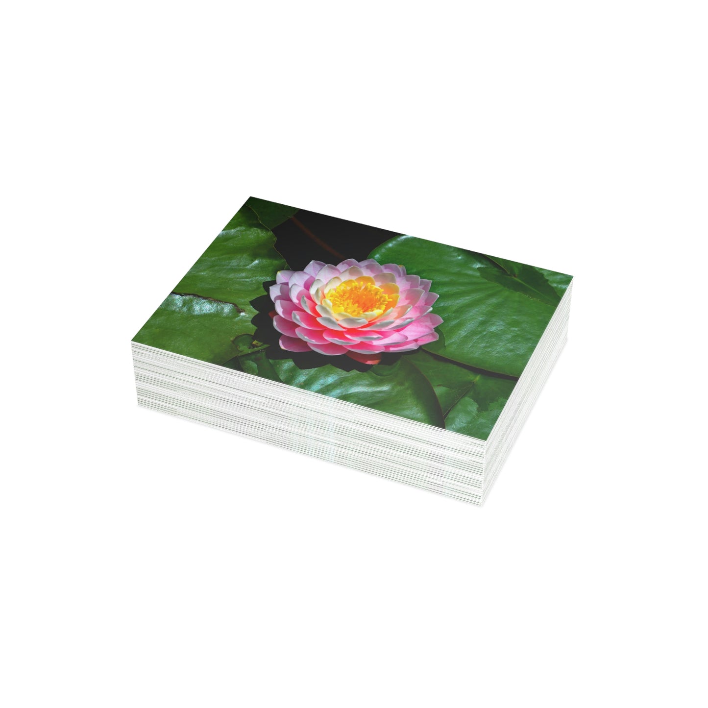 Flowers 25 Greeting Card Bundles (envelopes not included)