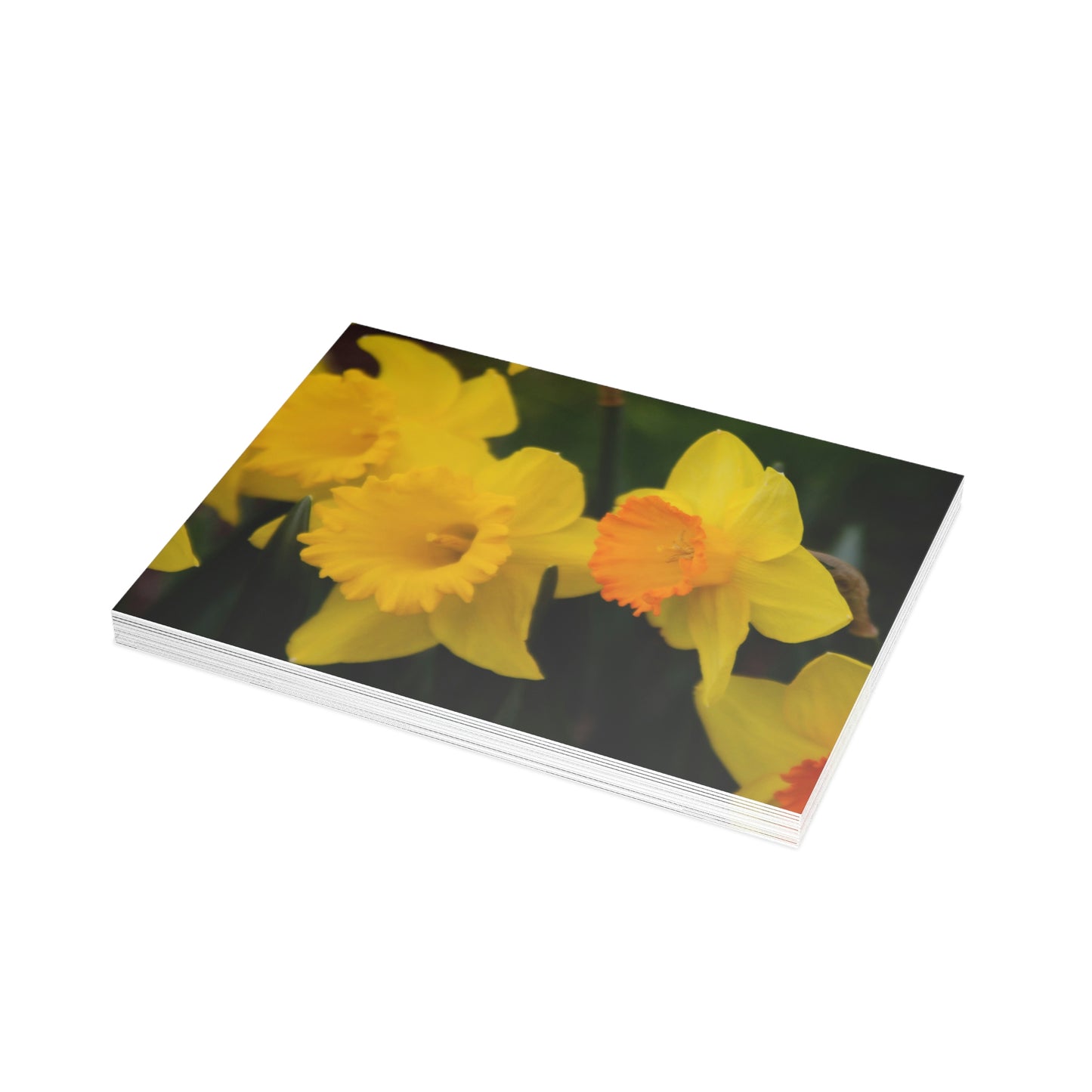 Flowers 10 Greeting Card Bundles (envelopes not included)