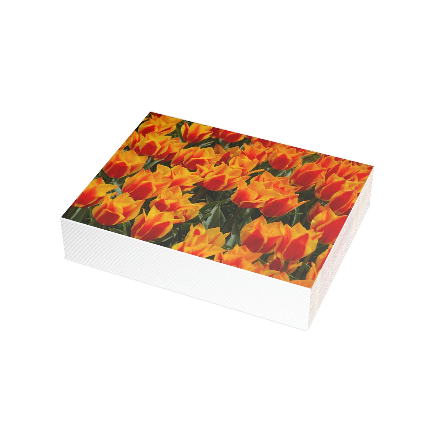 Flowers 19 Greeting Card Bundles (envelopes not included)