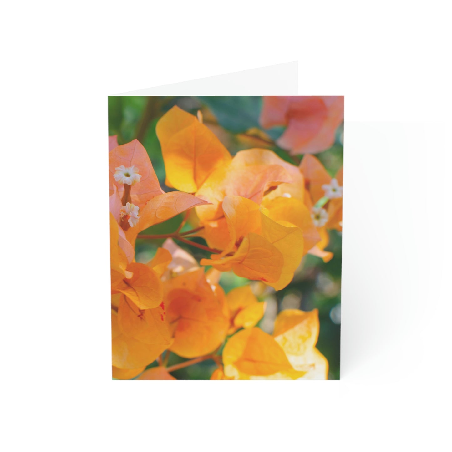 Flowers 29 Greeting Cards (1, 10, 30, and 50pcs)