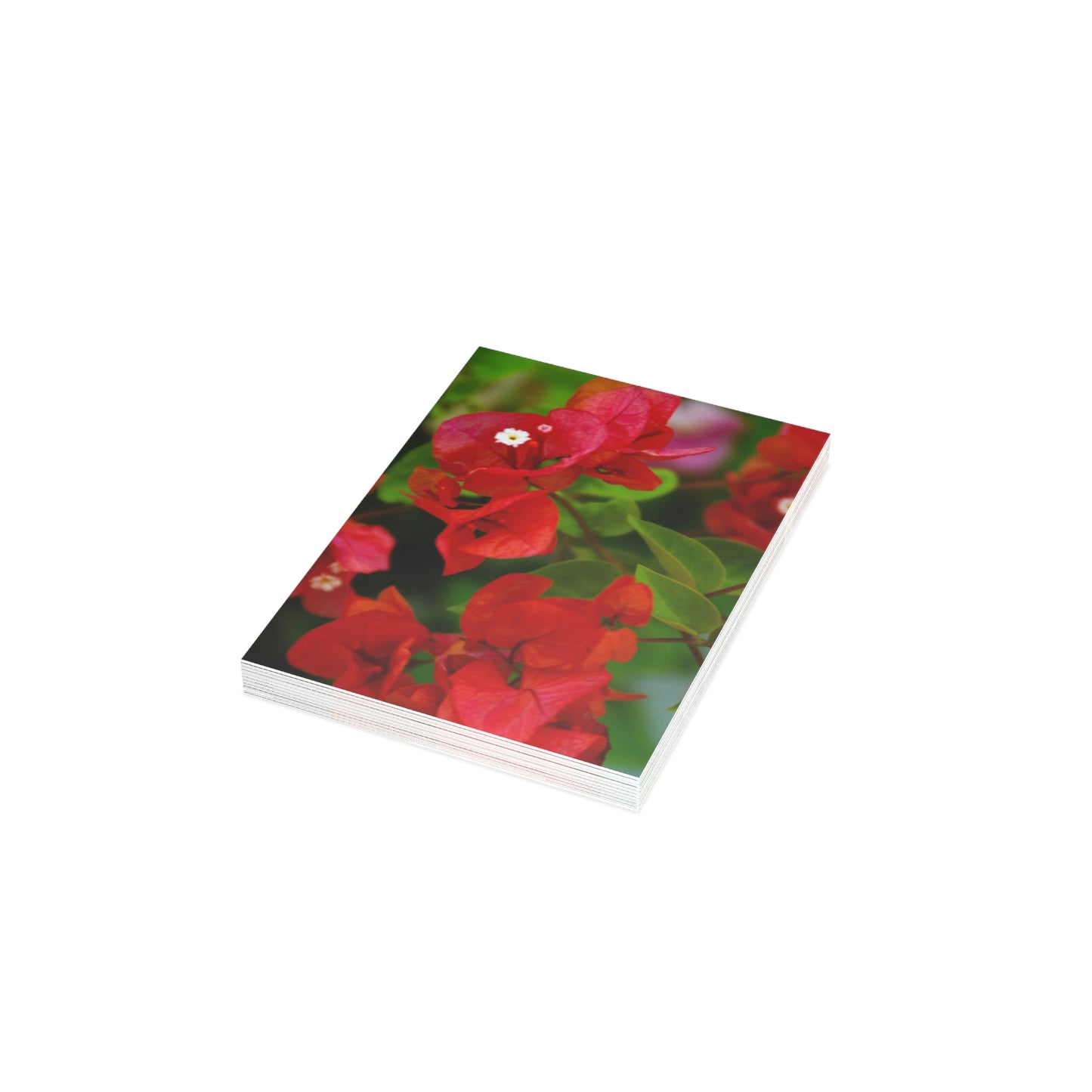 Flowers 27 Greeting Card Bundles (envelopes not included)