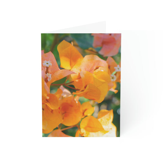 Flowers 29 Greeting Cards (1, 10, 30, and 50pcs)