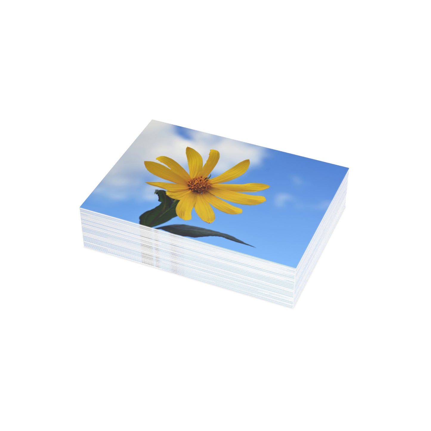 Flowers 32 Greeting Card Bundles (envelopes not included)