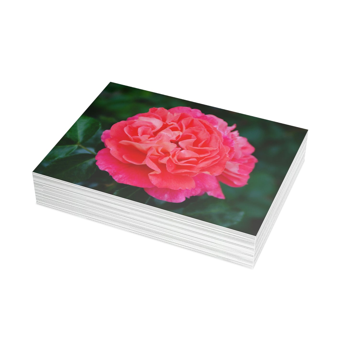 Flowers 08 Greeting Card Bundles (envelopes not included)