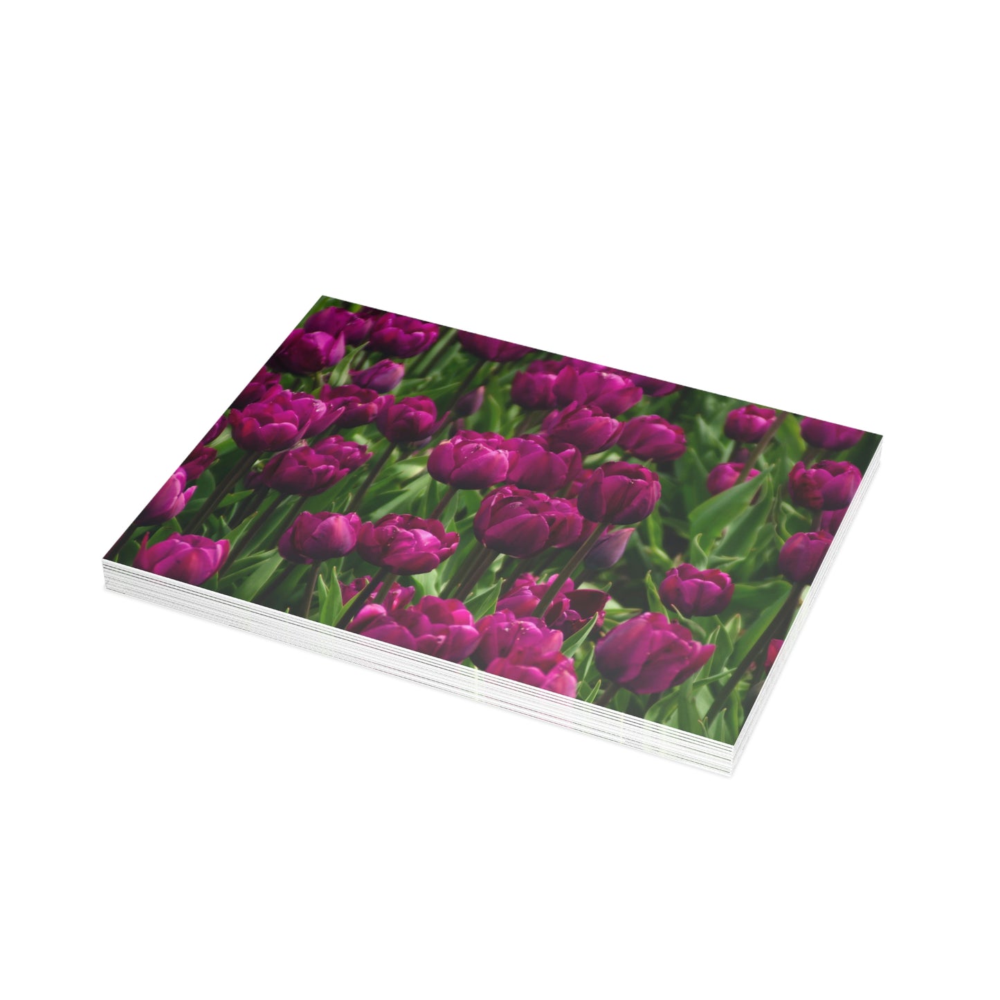 Flowers 18 Greeting Card Bundles (envelopes not included)