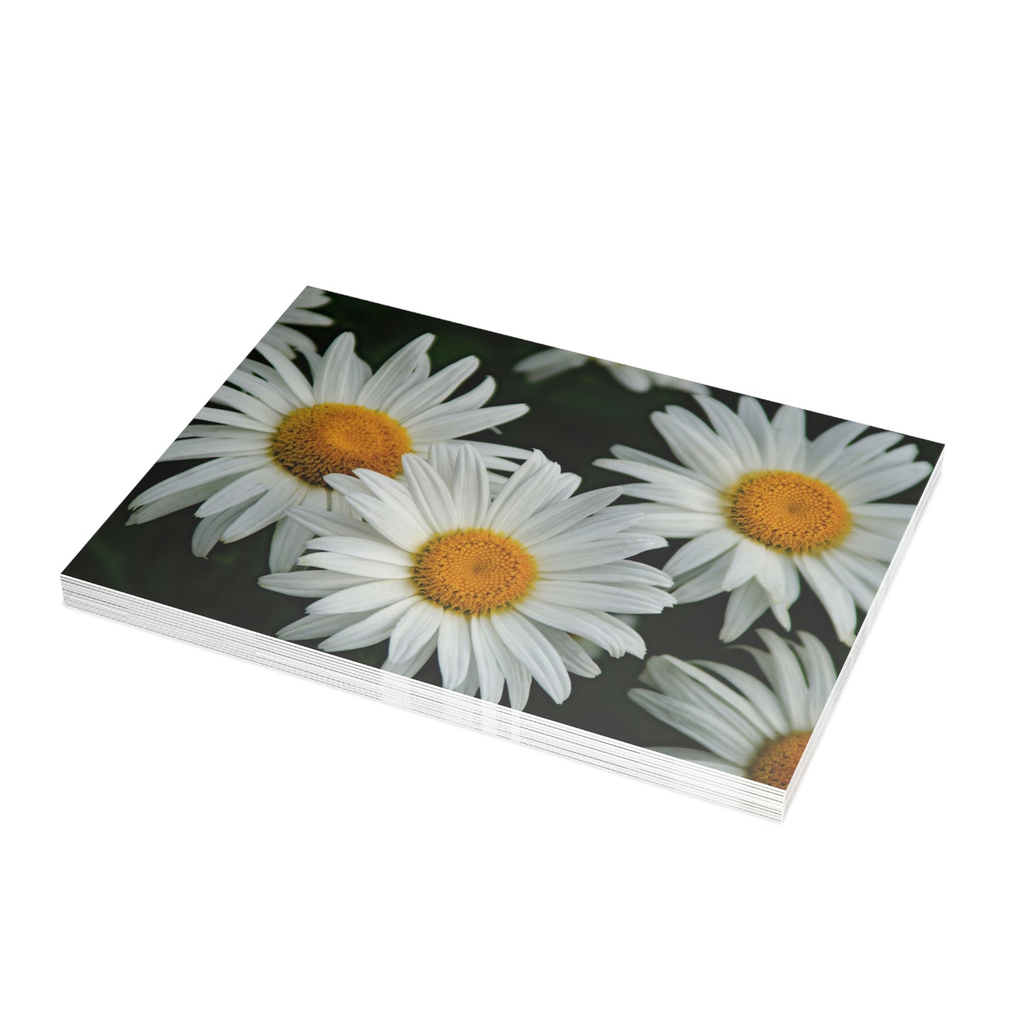 Flowers 07 Greeting Card Bundles (envelopes not included)