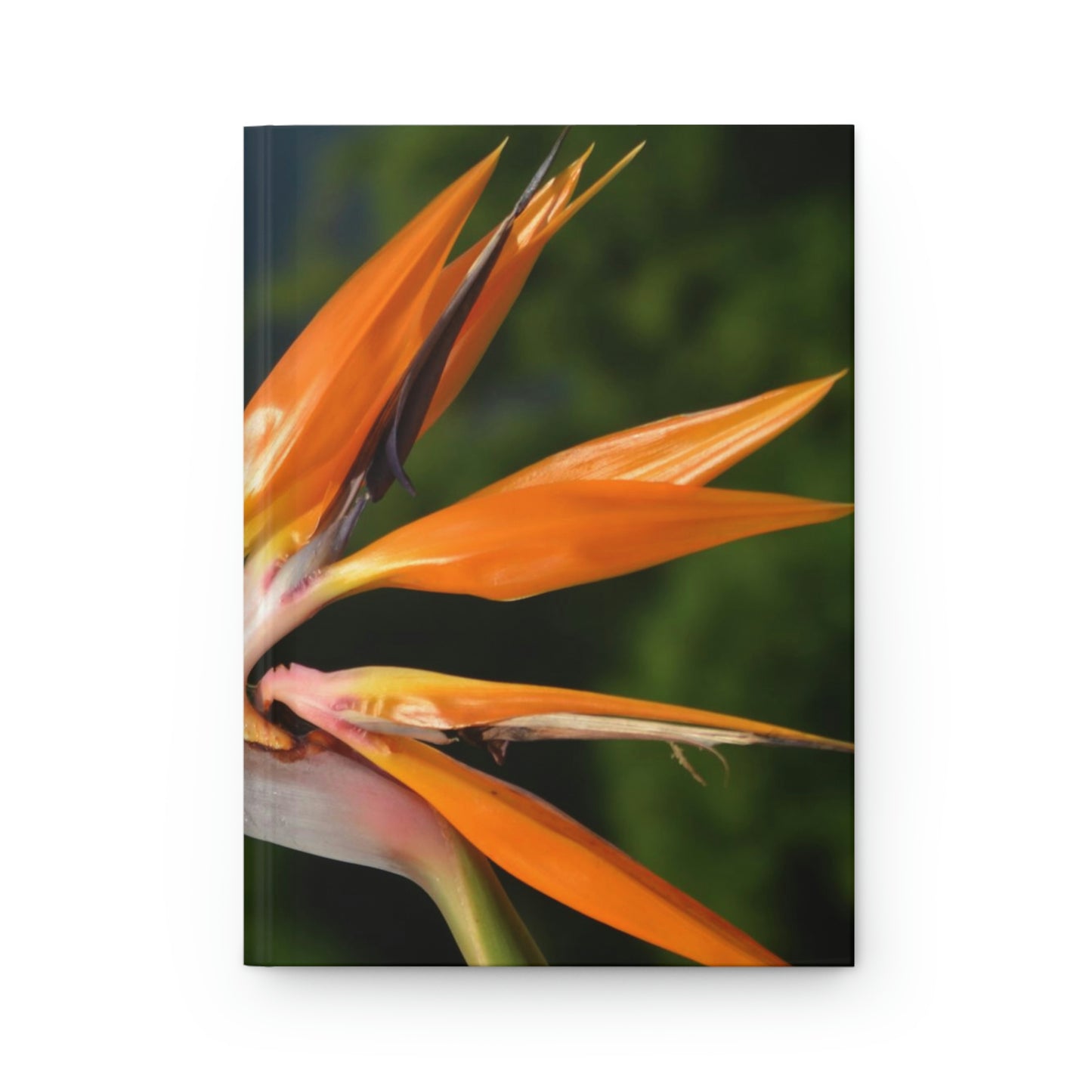 Flowers 25 Hardcover Journal Matte