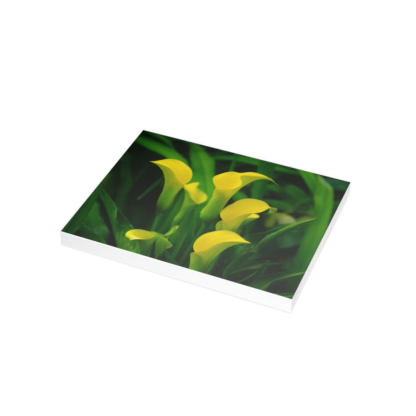 Flowers 33 Greeting Card Bundles (envelopes not included)