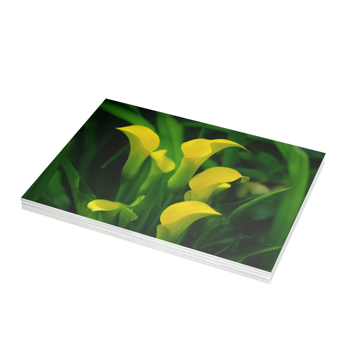 Flowers 33 Greeting Card Bundles (envelopes not included)