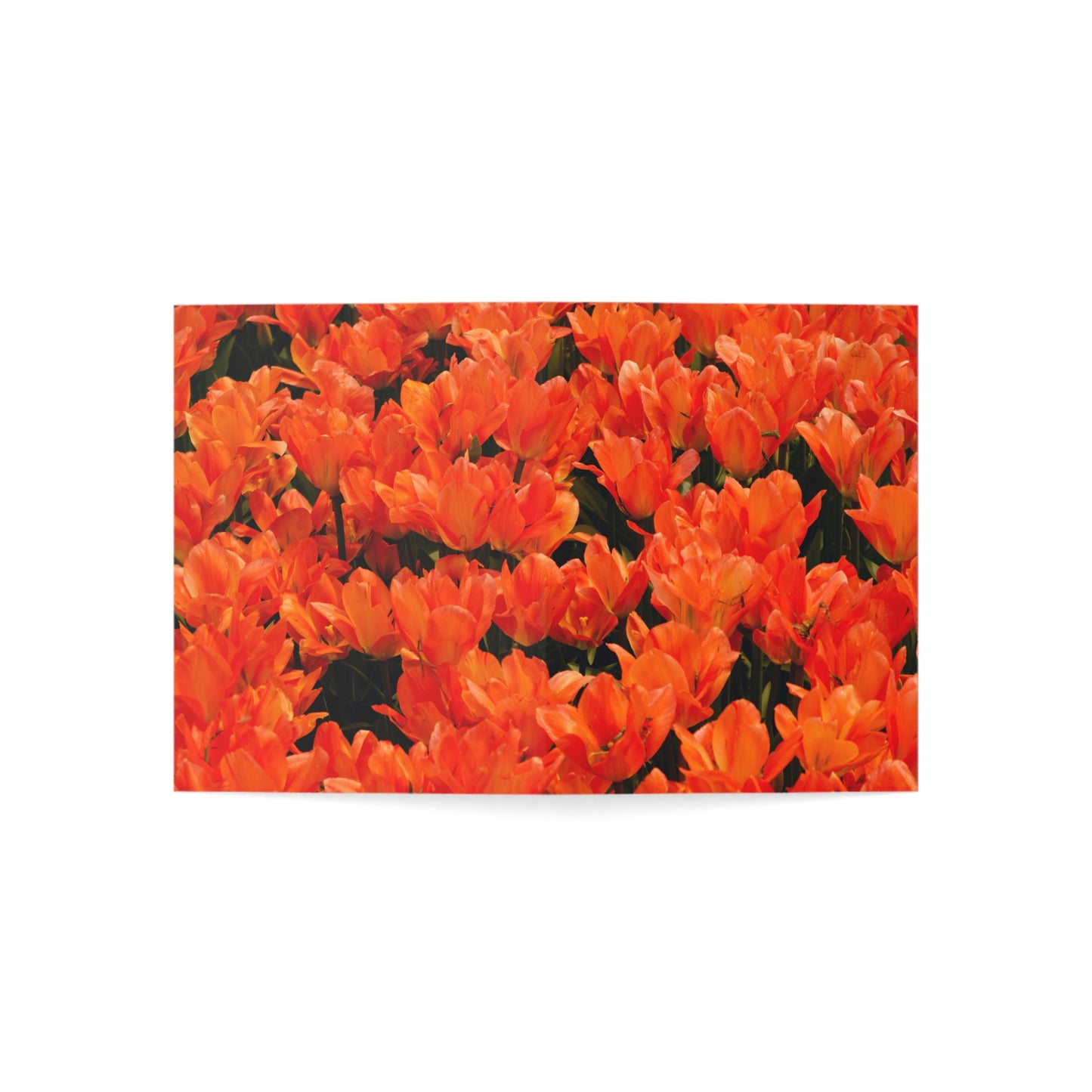 Flowers 03 Greeting Cards (1, 10, 30, and 50pcs)