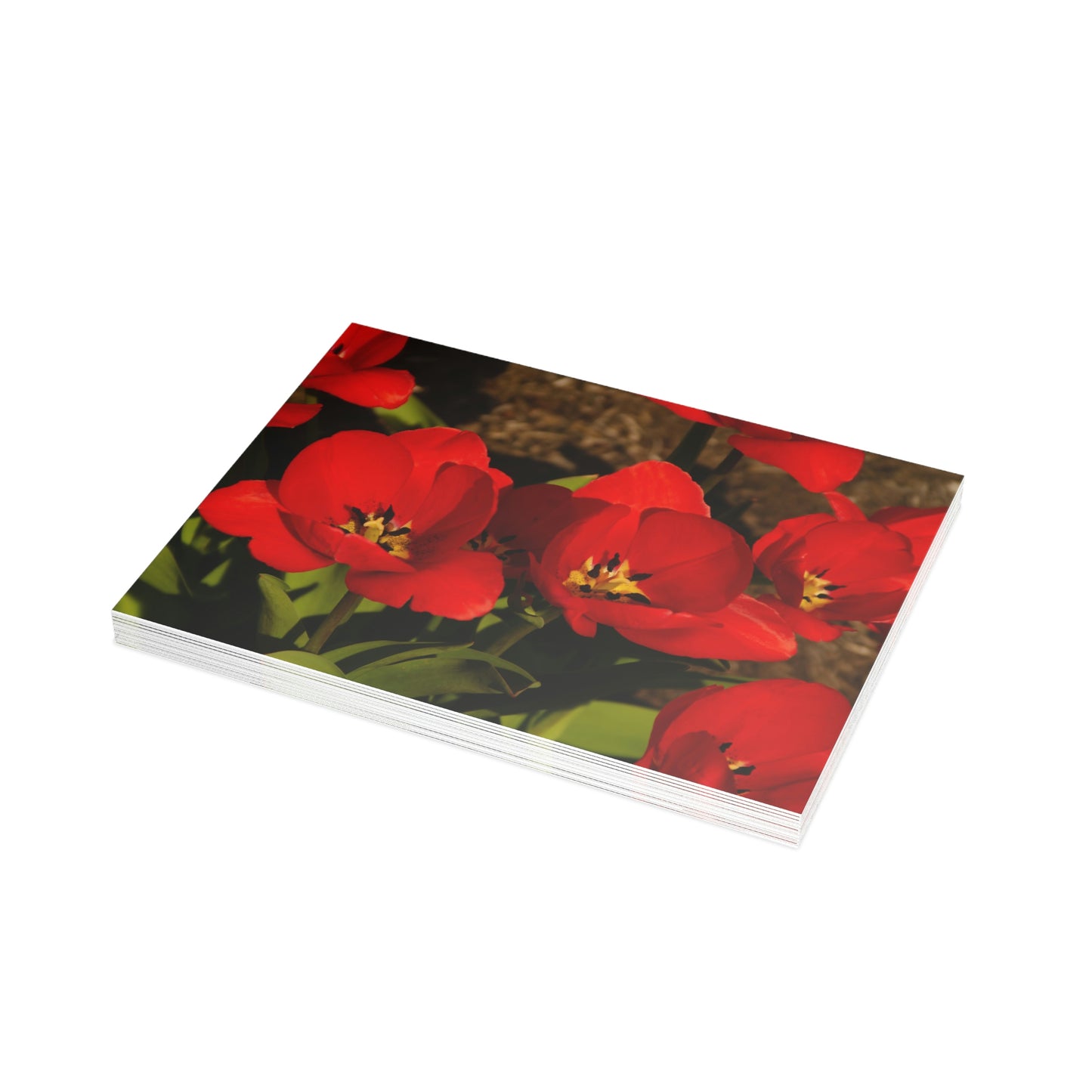 Flowers 05 Greeting Card Bundles (envelopes not included)