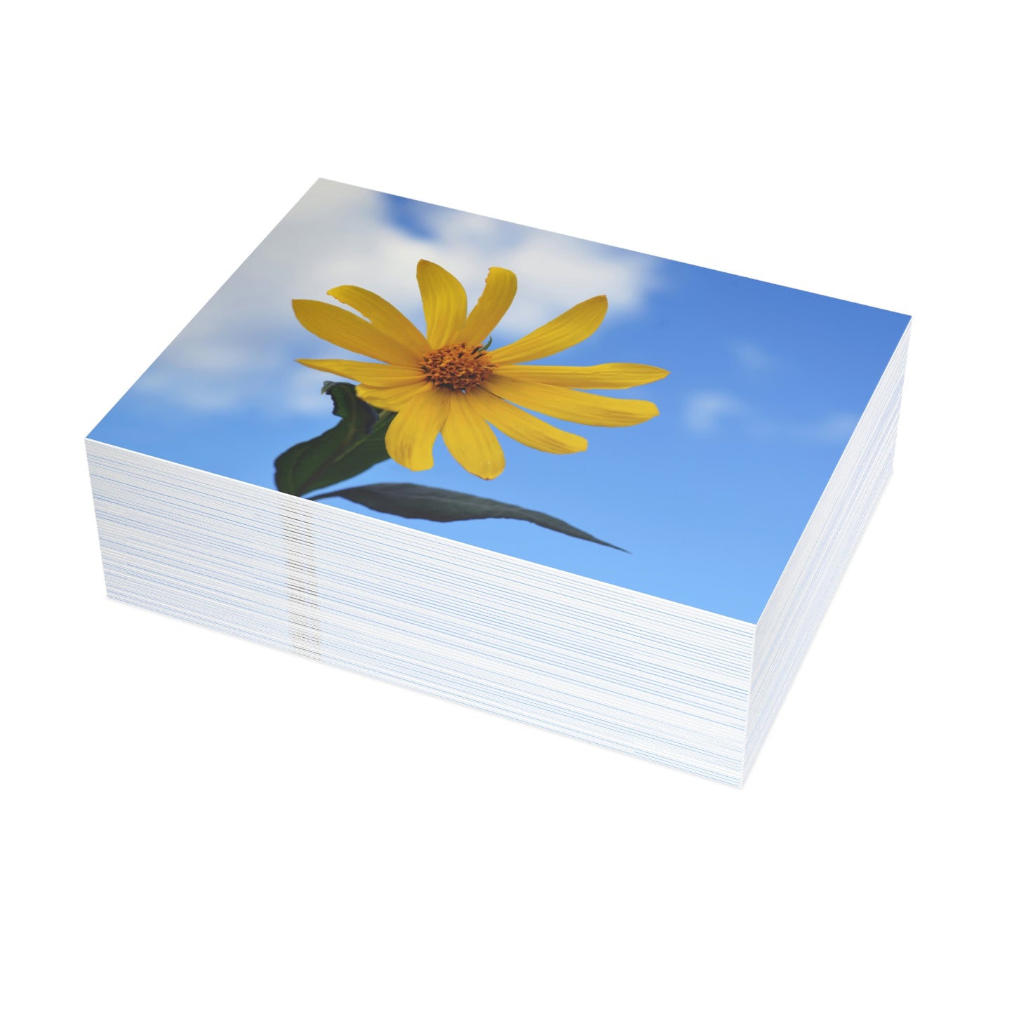 Flowers 32 Greeting Card Bundles (envelopes not included)