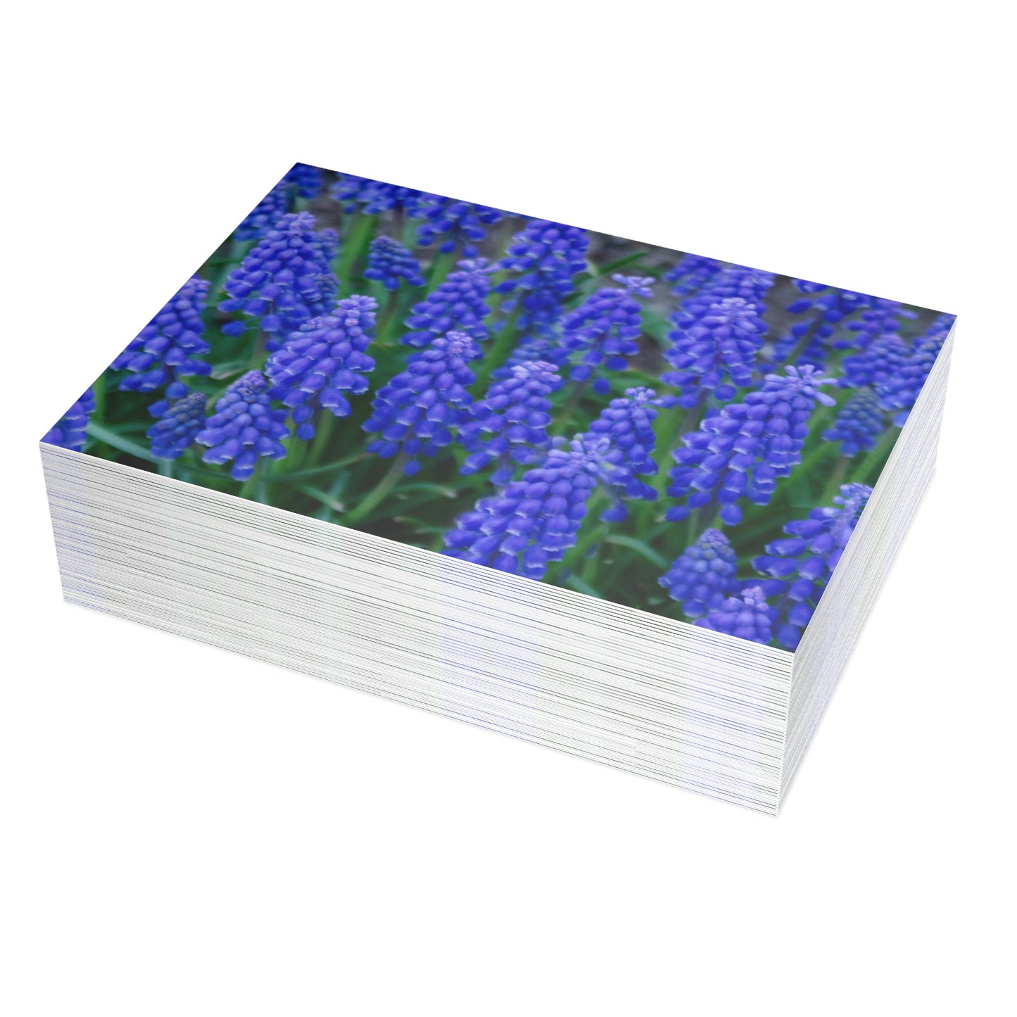 Flowers 11 Greeting Card Bundles (envelopes not included)