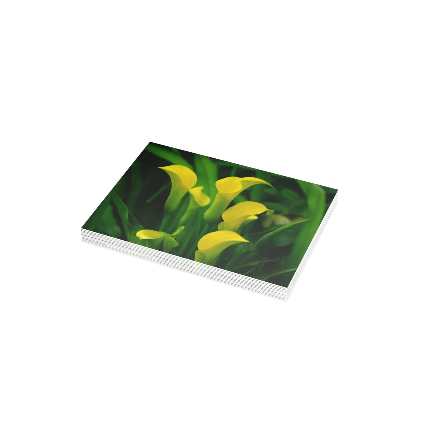 Flowers 33 Greeting Card Bundles (envelopes not included)